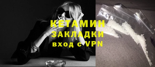 шишки Инсар