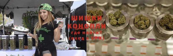 стафф Инта