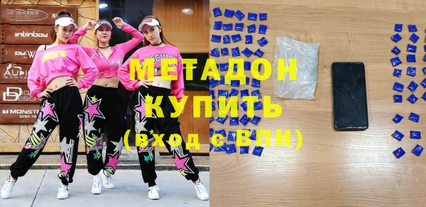 шишки Инсар