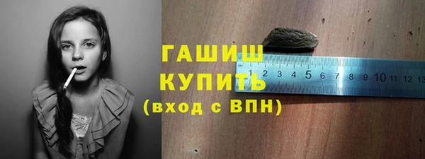 шишки Инсар