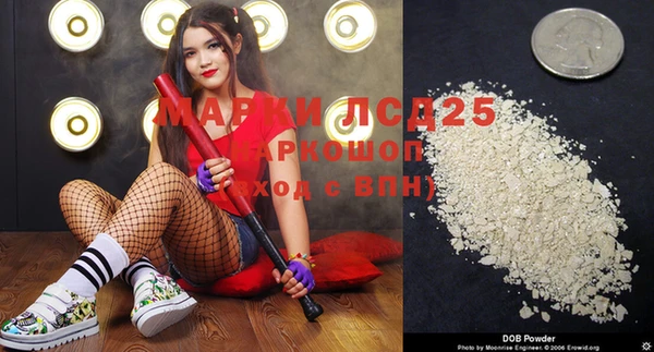 стафф Инта