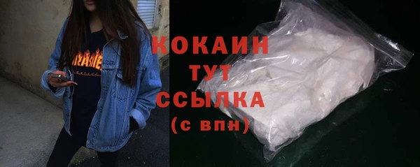 шишки Инсар