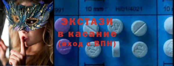 шишки Инсар