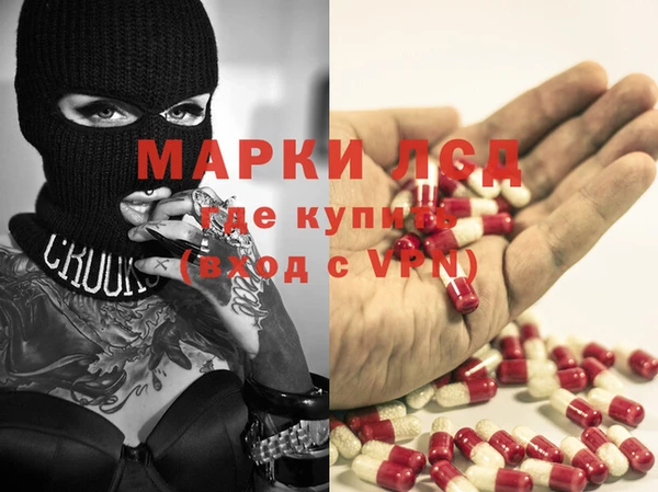 стафф Инта