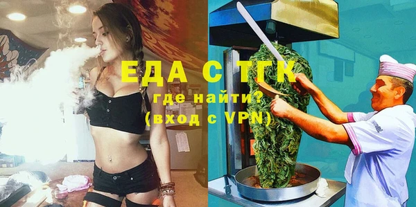 шишки Инсар