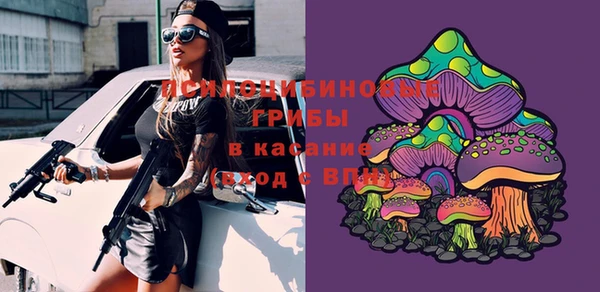 шишки Инсар