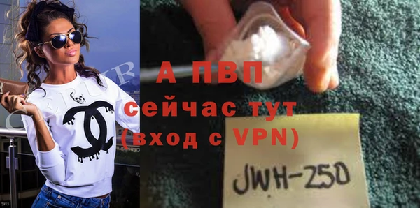 не бодяженный Иннополис