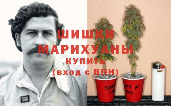 не бодяженный Иннополис