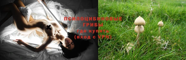 шишки Инсар