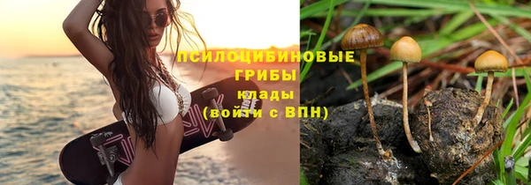 стафф Инта