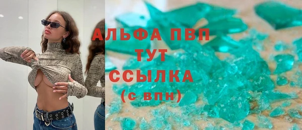 стафф Инта