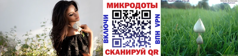 blacksprut онион  Кохма  Псилоцибиновые грибы MAGIC MUSHROOMS 