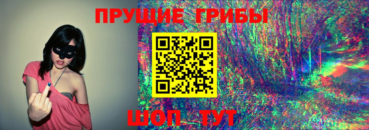 Псилоцибиновые грибы Magic Shrooms  купить наркотик  Кохма  Вход с VPN 